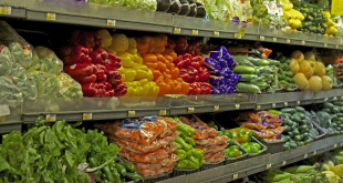 Cara Menjadi Supplier Sayuran di Supermarket
